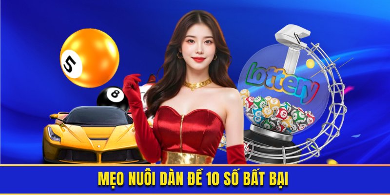 Mẹo nuôi dàn đề 10 con số hay nhất